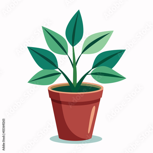 Seedlings in pots on a white background photo