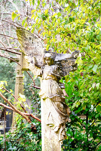 schöner alter Engel auf dem Highgate Cemetery Ostteil Camden, London	
 photo