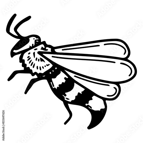 Wasp doodle. Flying stinging insect. Honey apiary. Bee pollinator. Hand drawn vector sketch illustration.