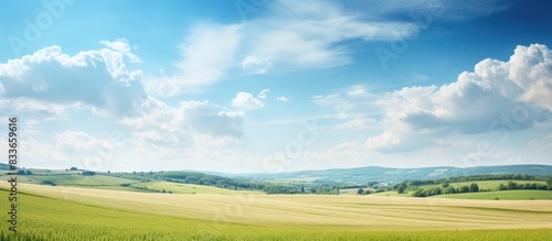 Summer fields. Creative banner. Copyspace image