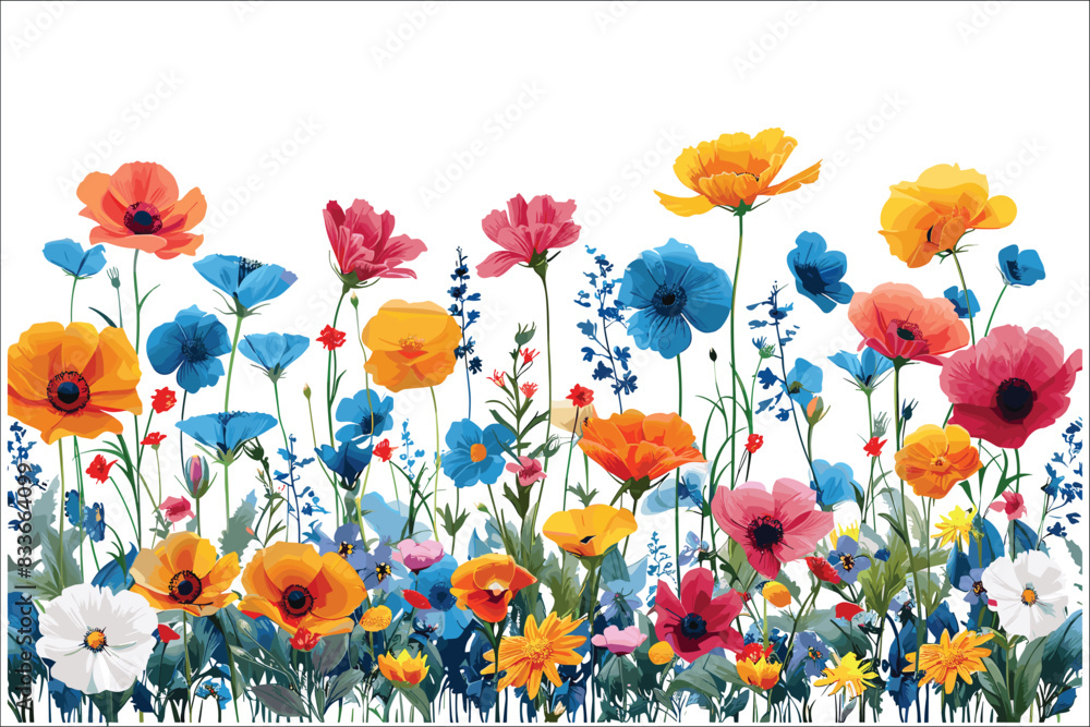 Obraz premium Collection of summer flowers, Beautiful colorful flowers, Colorful meadow with various flowers in bloom, Colorful meadow and garden flowers, Colorful summer flowers, Vector illustration 