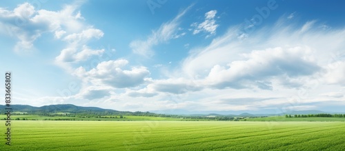 art rural landscape field and grass. Creative banner. Copyspace image