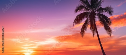 A palm tree silhouette stands against a beautiful sunset sky creating a captivating copy space image