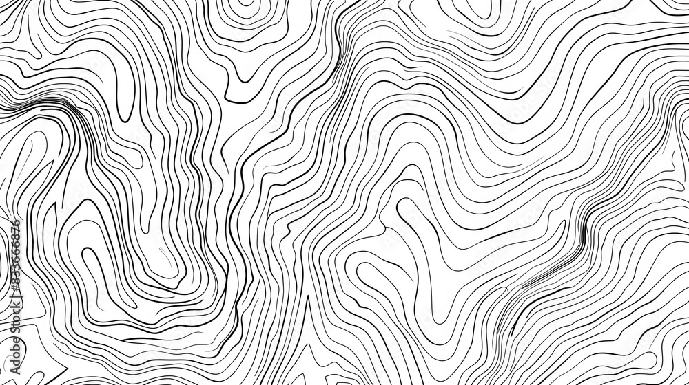 The stylized height of the topographic contour in lines and contours. The concept of a conditional geography scheme and the terrain path. Ultra wide size. blac and white illustration. The stylized height of the topographic contour in lines and contours. The concept of a conditional geography scheme and the terrain path. Ultra wide size. blac and white illustration.