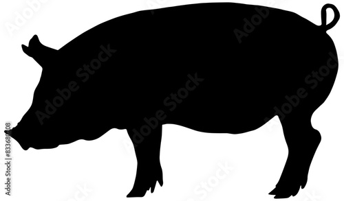 Silhouette of a swine in black, isolated 