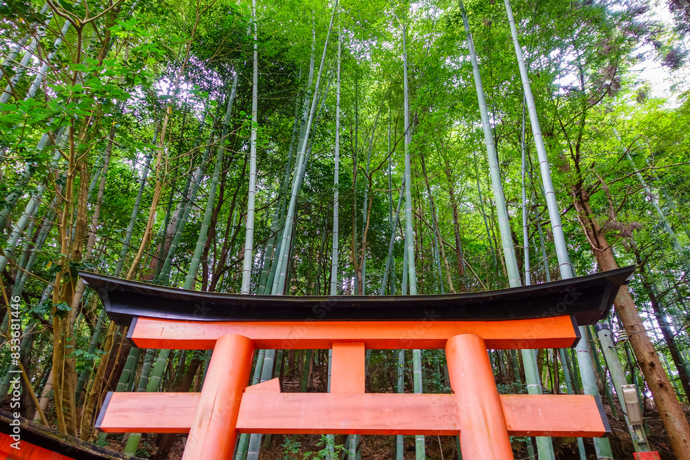 Fushimi Inari shrine temple with its red gates and sacred buildings in Kyoto, Japan. Fushimi Inari shrine temple with its red gates and sacred buildings in Kyoto, Japan.