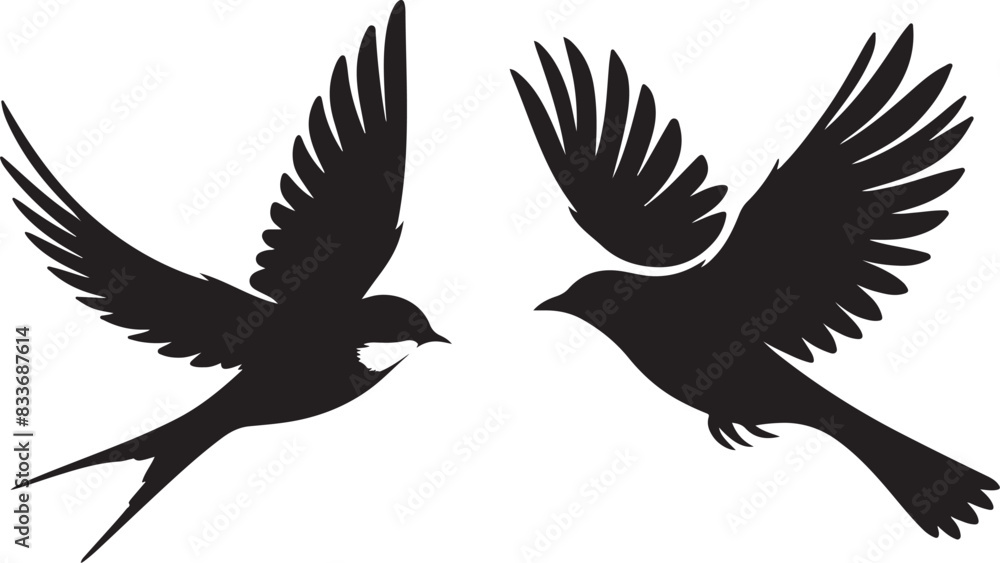 Fototapeta premium bird silhouette white background 
