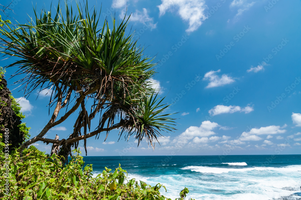 Beautiful view of dadap ayam Beach, Gunungkidul, Yogyakarta, Indonesia