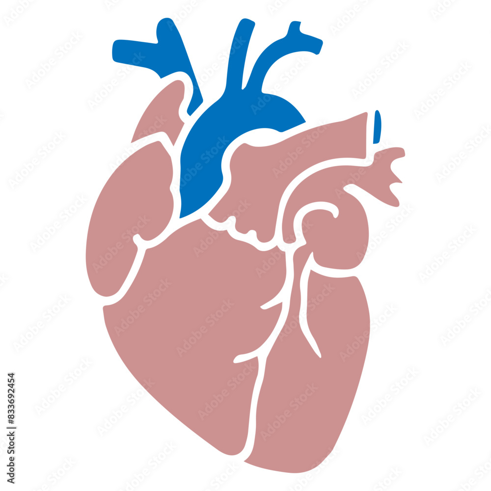 Human heart flat design Human heart flat design