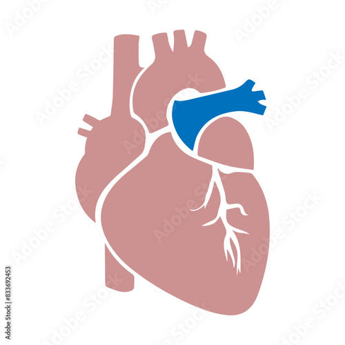 Human heart flat design