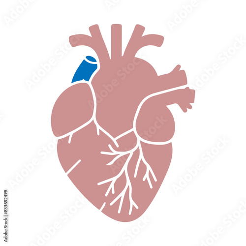 Human heart flat design
