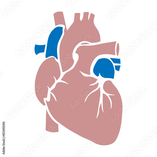 Human heart flat design