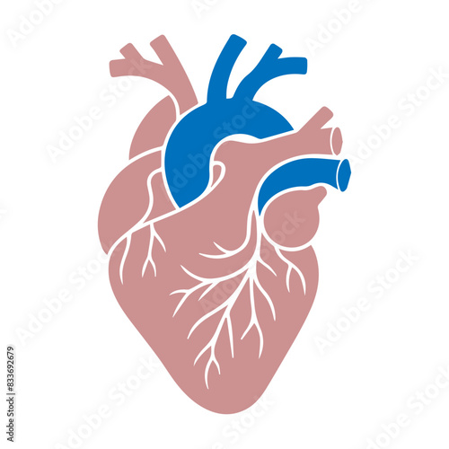Human heart flat design