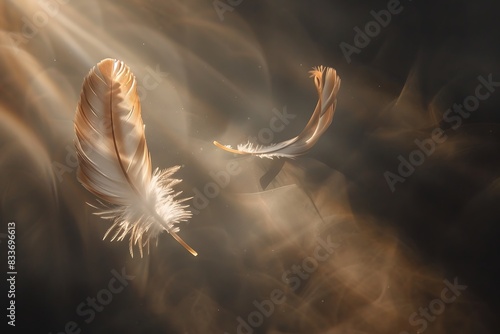 The elegant twirl of a lone feather descending through a beam of sunlight photo