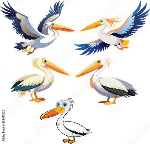 Bird in exotic pelican flight-