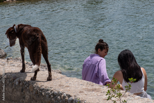 back picture of lesbian couple talking and smiling in an idyllic river landscape, summer evening.