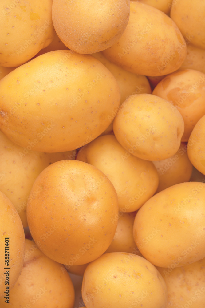 A group of fresh tasty potato as background. A group of fresh tasty potato as background.