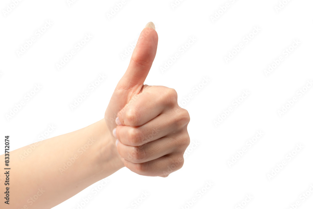 Woman hands isolated on a white background. Woman hands isolated on a white background.