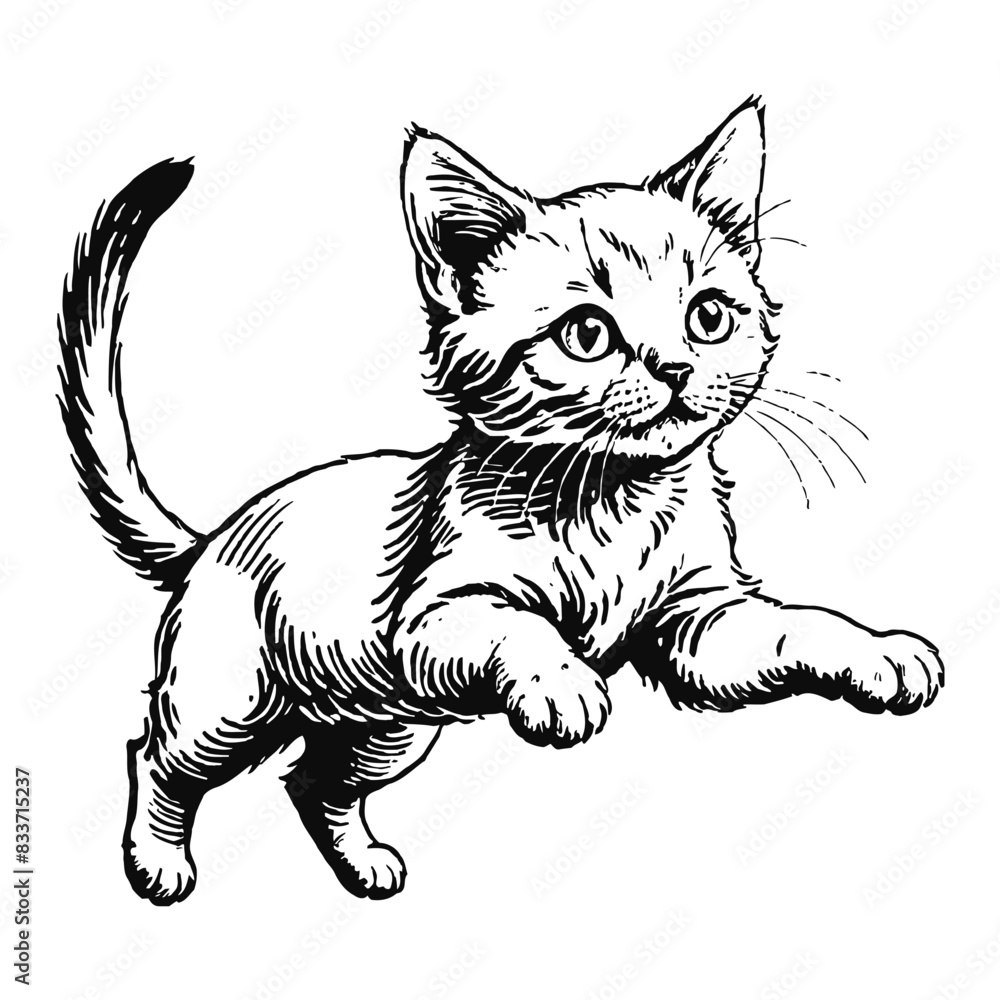Nebelung Cat Kitten Hand Drawn Engraved Ink Line Art Sketch Illustration Nebelung Cat Kitten Hand Drawn Engraved Ink Line Art Sketch Illustration