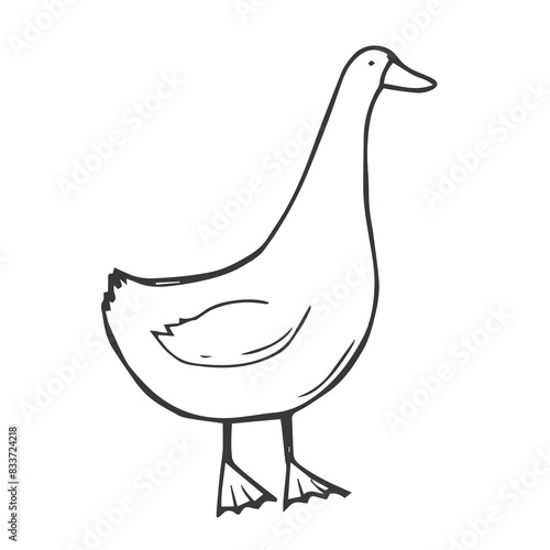 Hand drawn farm bird goose. Doodle sketch style. Drawing line simple goose icon. Isolated vector illustration.