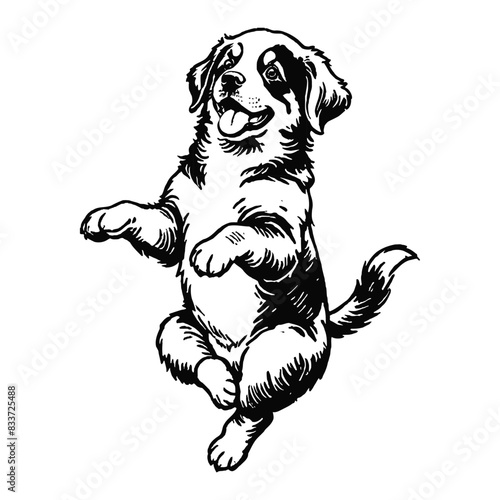 Bernese Mountain Dog Puppy Hand Drawn Engraved Ink Line Art Sketch Illustration