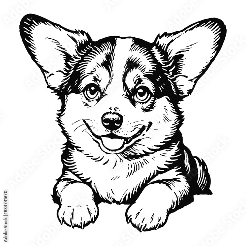 Corgi Dog Puppy Hand Drawn Engraved Ink Line Art Sketch Illustration