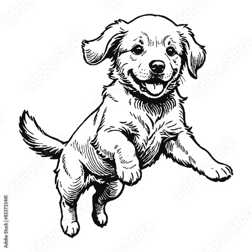 Golden Retriever Dog Puppy Hand Drawn Engraved Ink Line Art Sketch Illustration