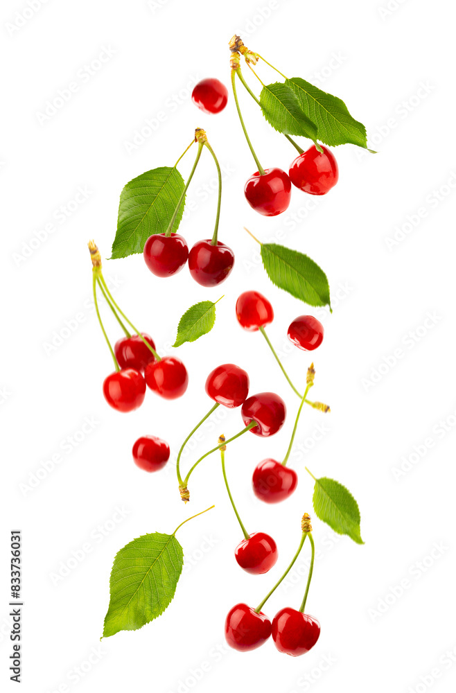 Cherry isolated. Fresh ripe cherries with leaves isolated on a white background.Sweet cherries pile. Berries and fruits. Vegan. Healthy eating. Cherry isolated. Fresh ripe cherries with leaves isolated on a white background.Sweet cherries pile. Berries and fruits. Vegan. Healthy eating.