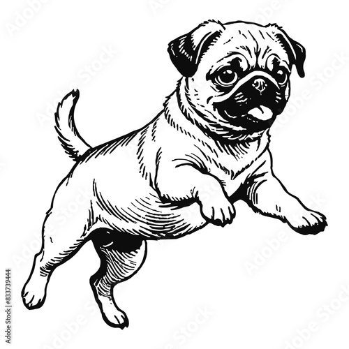 Pug Dog Puppy Hand Drawn Engraved Ink Line Art Sketch Illustration