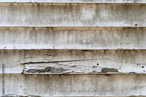 Fotografie Very old wood clapboard siding with mold chips and cracks.