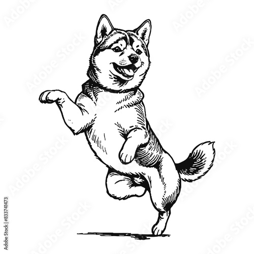 Japanese Shiba Inu Dog Hand Drawn Engraved Ink Line Art Sketch Illustration