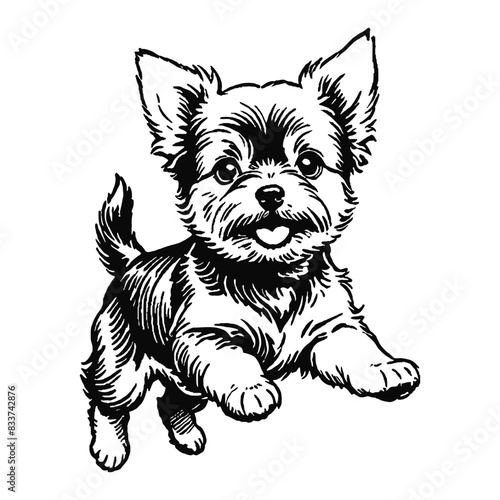 Yorkshire Terrier Dog Puppy Hand Drawn Engraved Ink Line Art Sketch Illustration