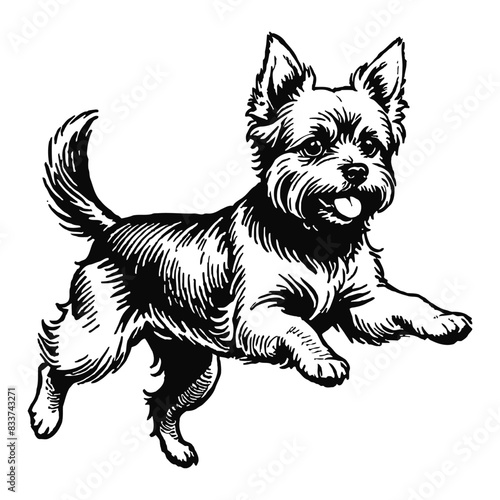 Yorkshire Terrier Dog Hand Drawn Engraved Ink Line Art Sketch Illustration