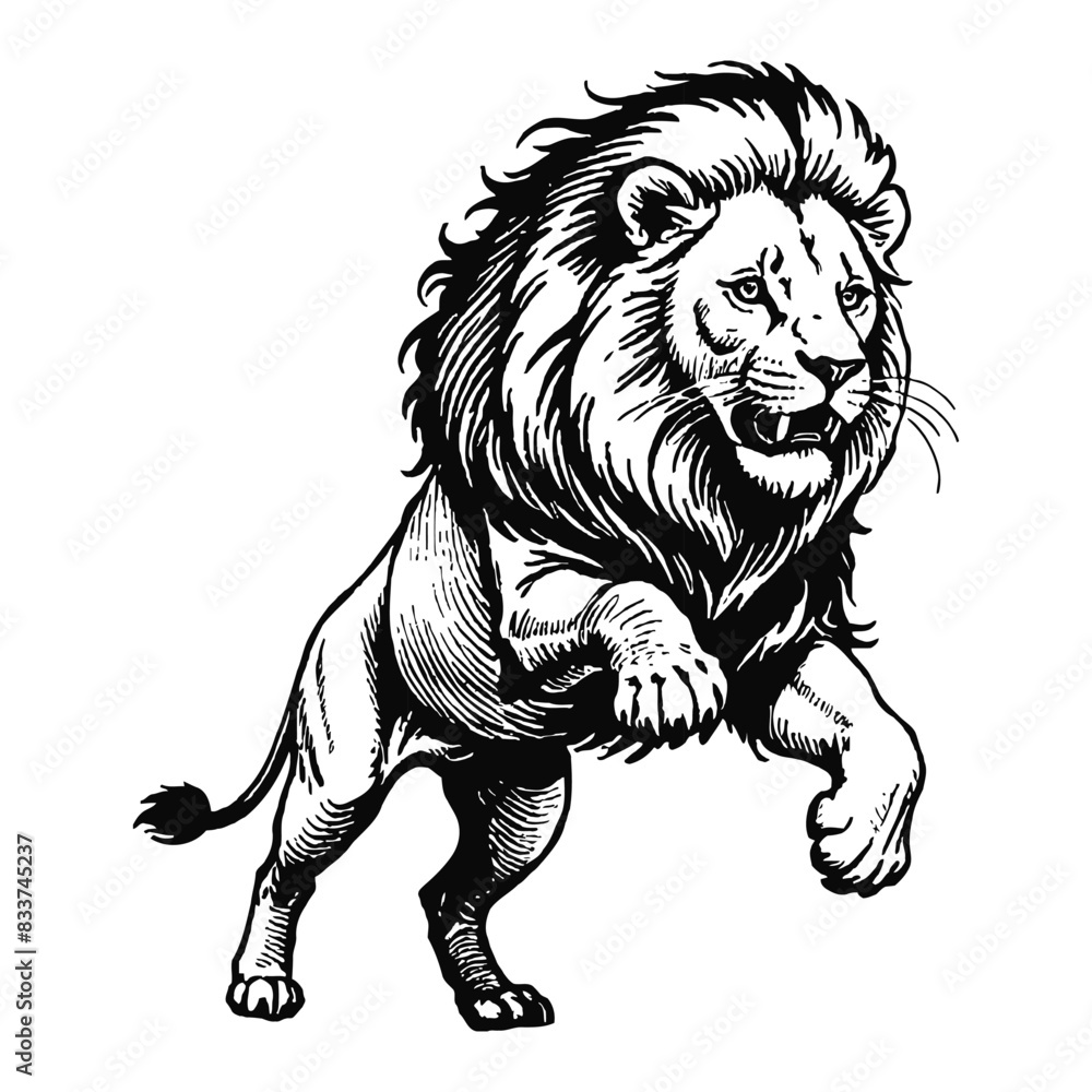 Fototapeta premium Lion Hand Drawn Engraved Ink Line Art Sketch Illustration