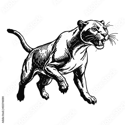 Black Panther Hand Drawn Engraved Ink Line Art Sketch Illustration © Reytr