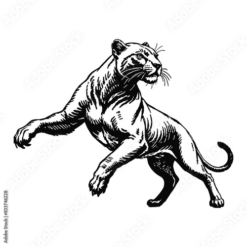Black Panther Hand Drawn Engraved Ink Line Art Sketch Illustration