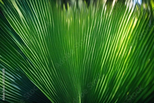 green leaf