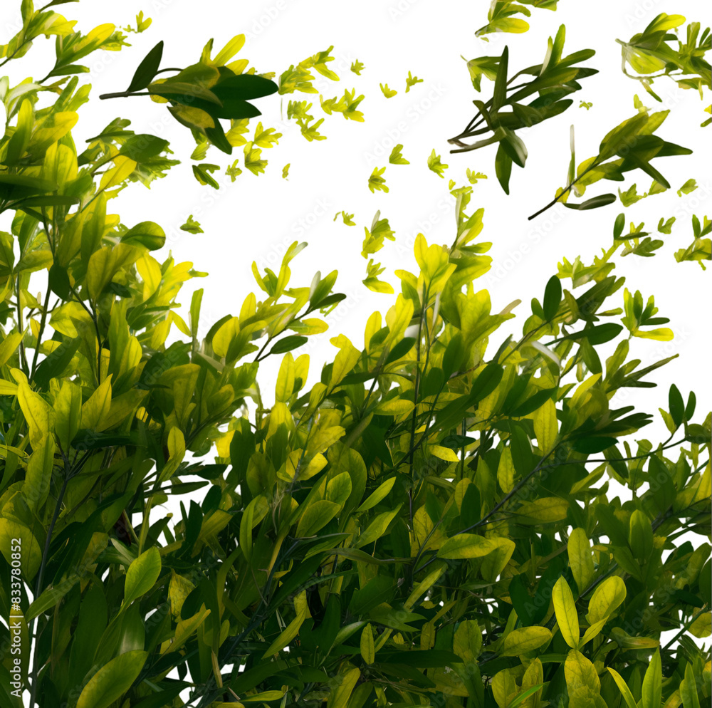 Fototapeta premium Falling green leaves on transparent background. Set of waves formed by green leaves Ai generative.