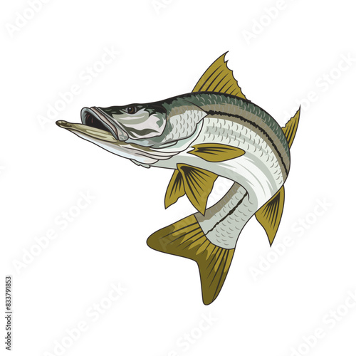 snook fishing illustration logo vector image t shirt