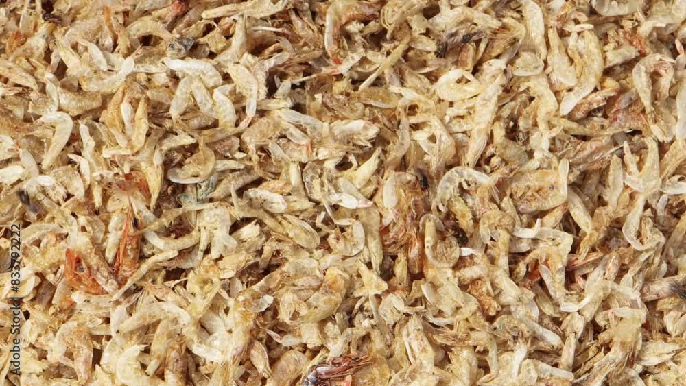 Dry prawn fish display in local market videos. Dried prawn fish video. 4k. Dry prawn fish display in local market videos. Dried prawn fish video. 4k.
