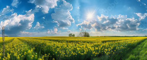 vista panorâmica do campo de colza, céu azul com nuvens, fotografia de paisagem, flores amarelas, árvores verdes ao fundo, bela cena da natureza, grande angular, panorama panorâmico, cores brilhantes photo