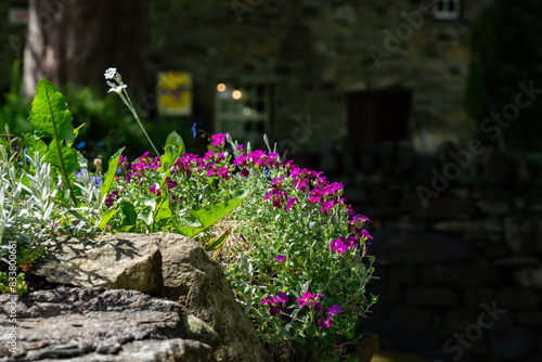 The beautiful town of Beddgelert Snowdonia photo