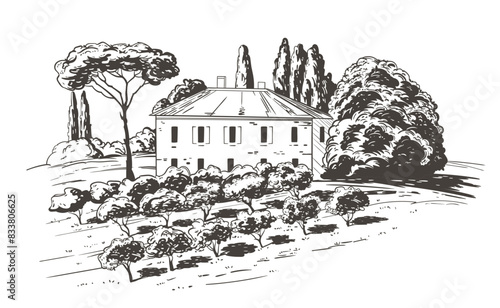 Countryside scenery in Tuscany, Italy. Handmade drawing vector illustration with olive plants in first plan, house and trees in background. Vintage style. Engraved old sketch monochrome vector.
