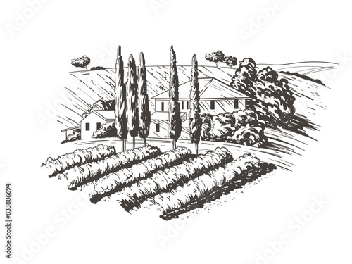 Countryside scenery in Tuscany, Italy. Handmade drawing vector illustration. Vintage style. Engraved old sketch style colorful vector.
