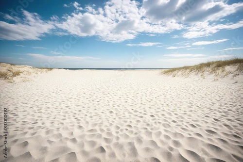 sand dunes in the morning