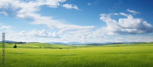 Landscape featuring a verdant green field with a vast expanse of open space providing ample room for composition with copy space image.