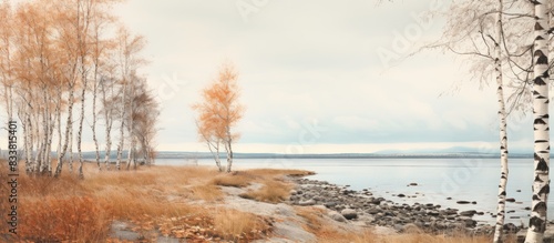 Wallpaper Mural Sparse vegetation covers the White Sea coastline with elements like birch trees, loose-leaved and rowan bushes, set against a melancholic autumn backdrop, ideal for a copy space image. Torontodigital.ca