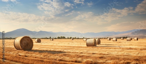 Autumn agricultural field w...