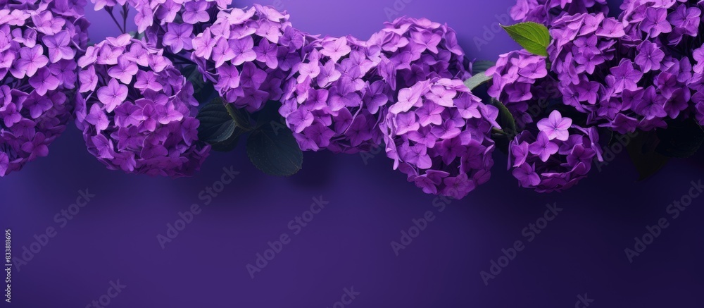 Fototapeta premium Vibrant purple flowers blooming beautifully in the copy space image.