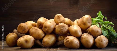 Freshly harvested potatoes ...